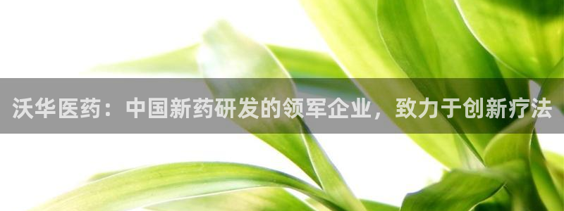 九游j9打不开