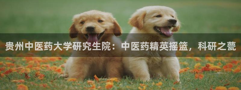 九游会官网登录首页|首页