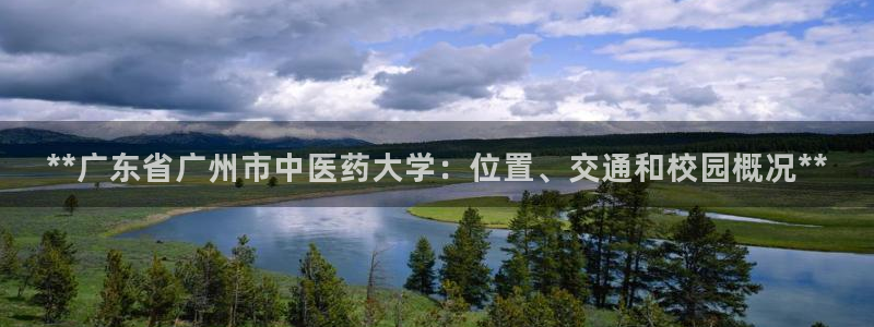 九游会官网j9
