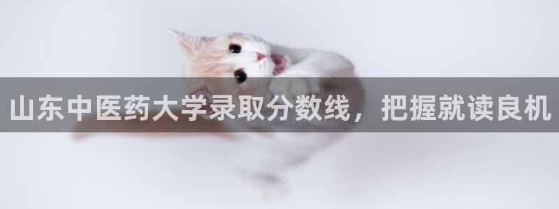 九游会j9官网登陆