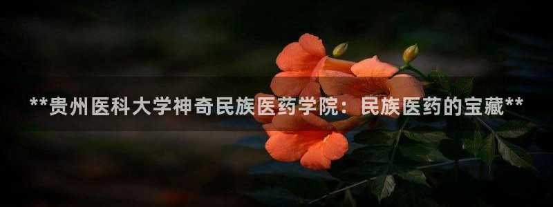 九游会真人第一品牌游戏合营