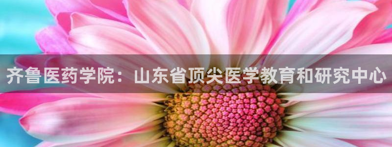 九游会平台网站