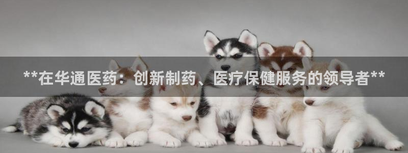 j9九游会app下载
