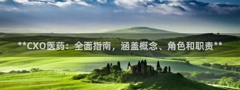 九游j9国际