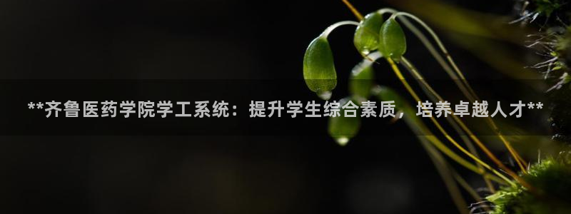 J9九游会老哥