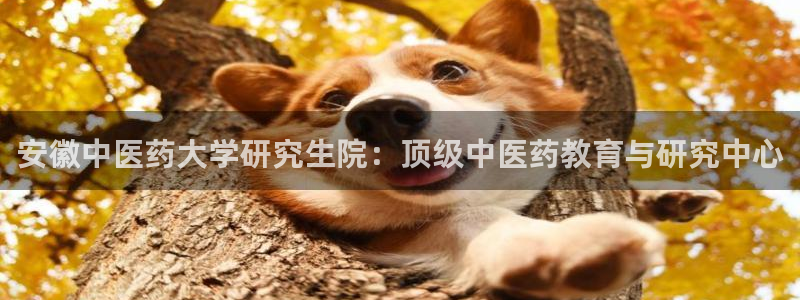 九游j9登录