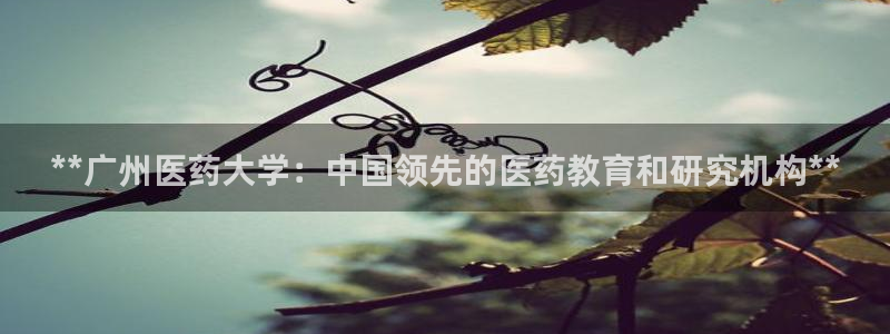 九游会进不去了