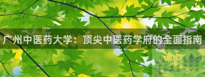 九游会平台怎么样
