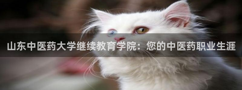 九游会网页
