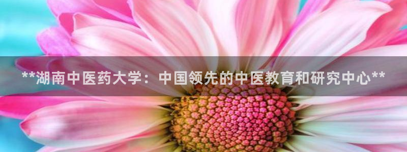 9游会app