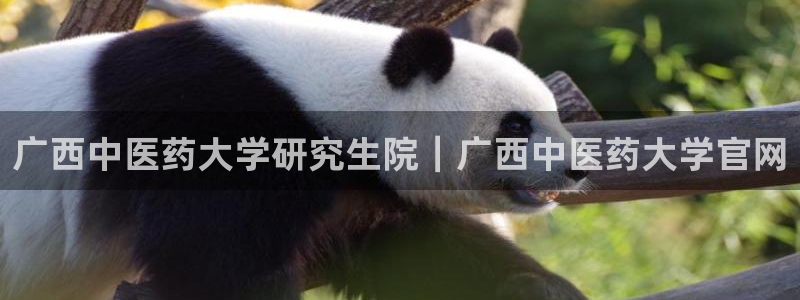 九游会官方