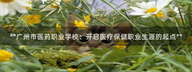 九游会官方网址