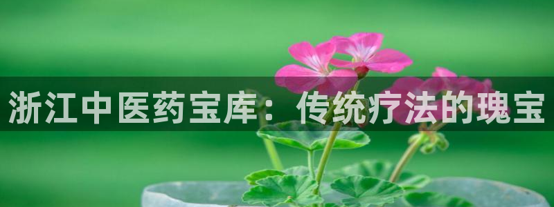 j9官网平台