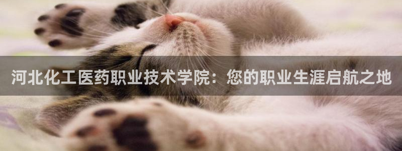 九游会网页