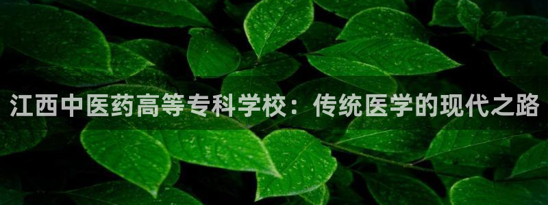 ag老队