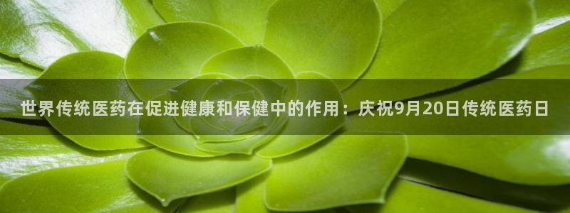 九游会j9官方登录入口