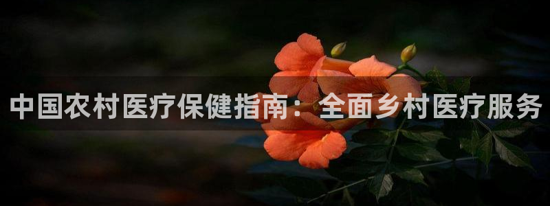 j9九游会网址是什么