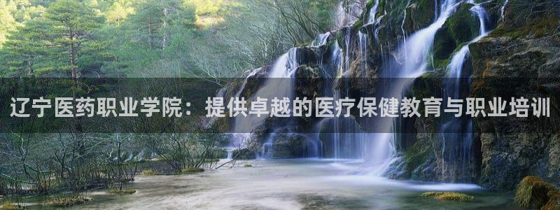 九游会网址是什么
