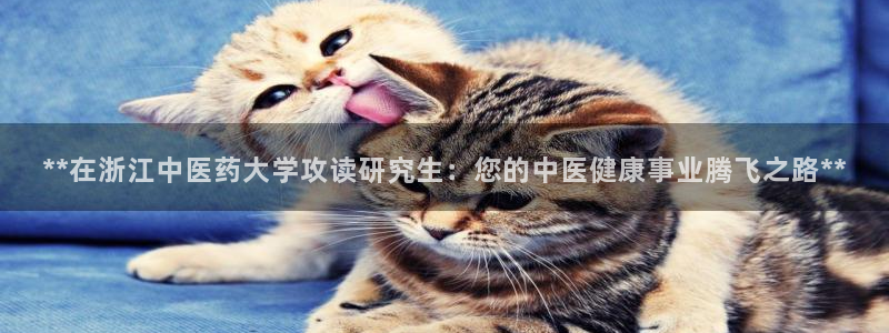J9九游会集团