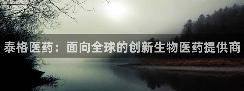 九游会线上平台吗