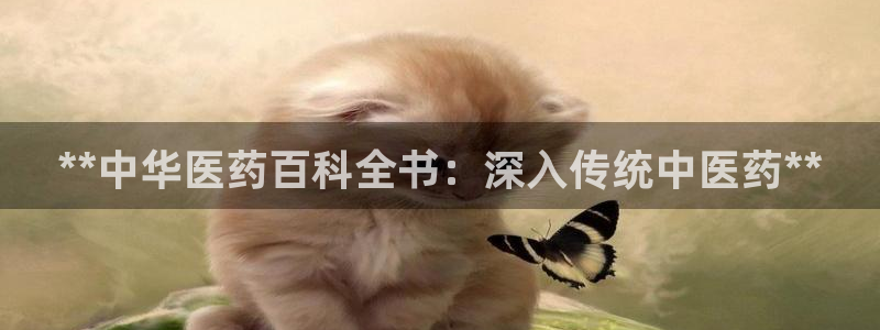 J9九游会网站