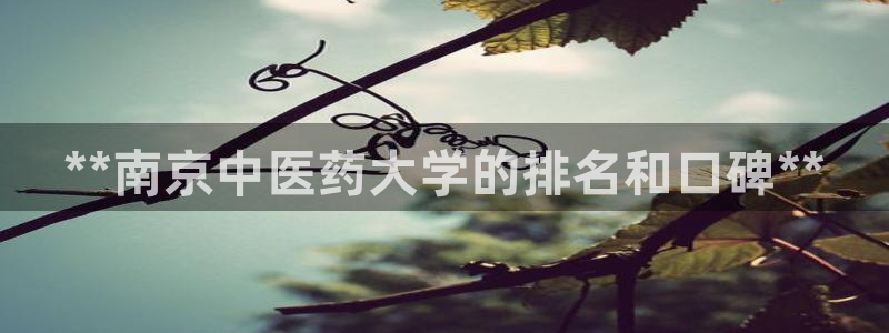 九游会员官网真人游戏第一品牌