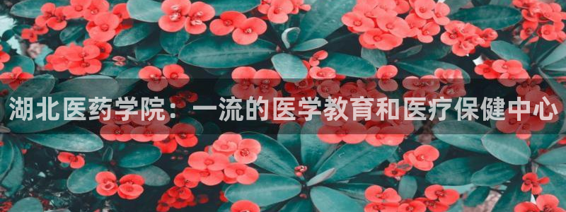九游会国际厅
