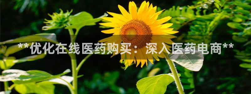 九游会是什么组织