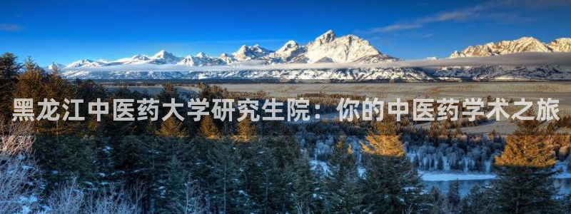 九游会在线官方网站登录吗