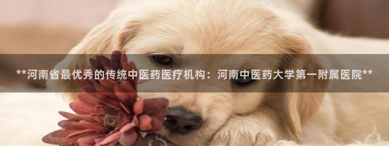 j9官网app