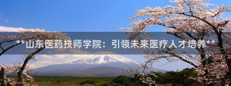 九游会平台j9
