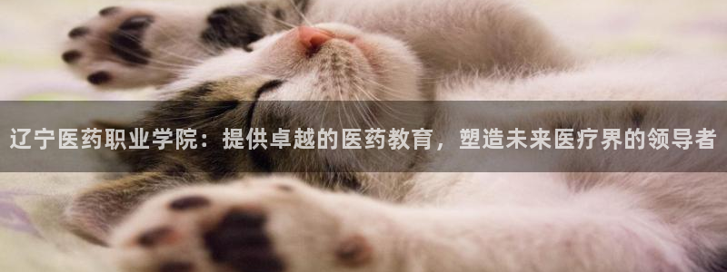 九游会官网登录中心入口