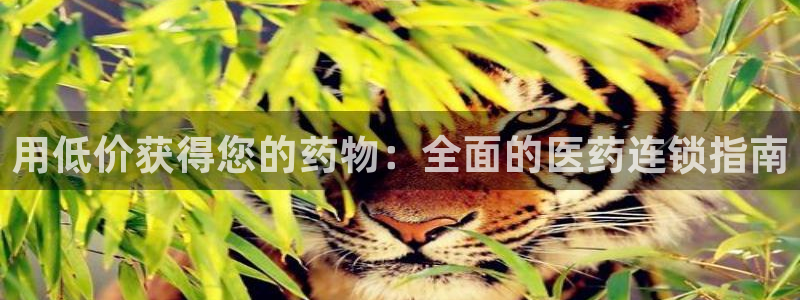 九游会视讯网站