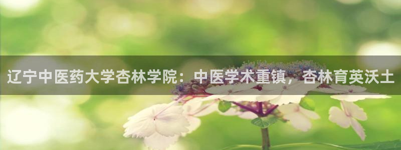 j9九游会最新官网