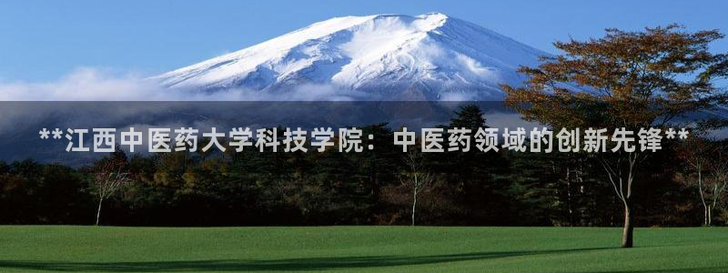 九游会网址是什么