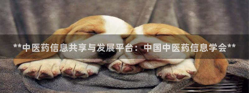 j9九游会ag私享