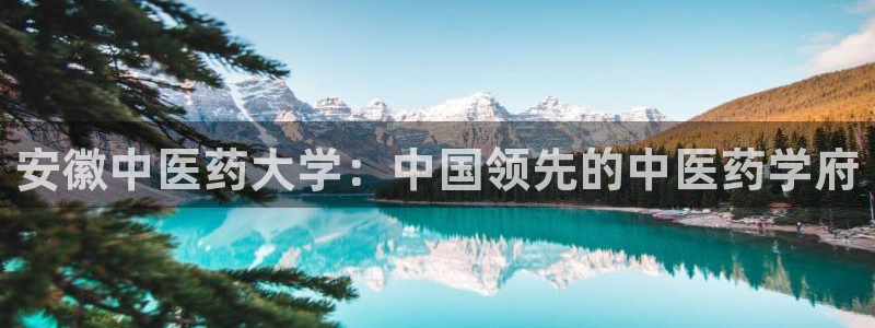 ag久游会
