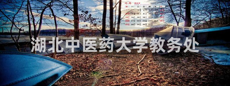 j9com九游会