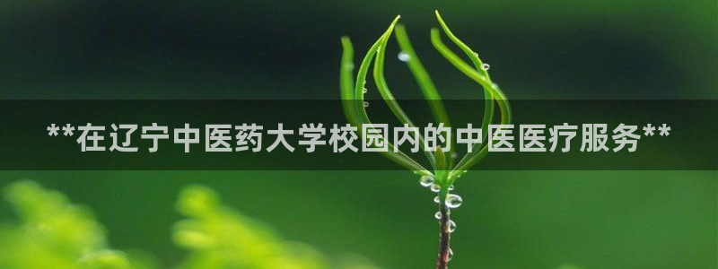 j9九游登陆