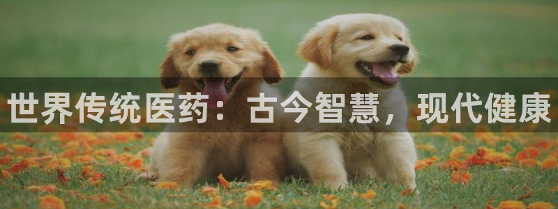 九游会集团新的选择