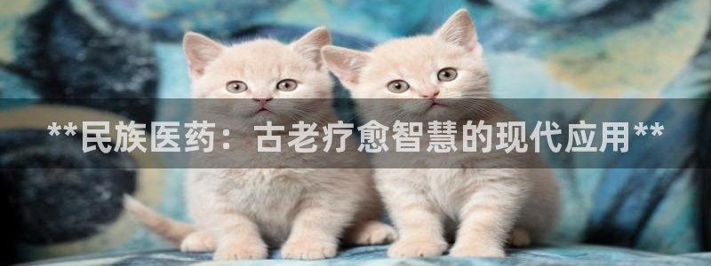 九游会首页官网