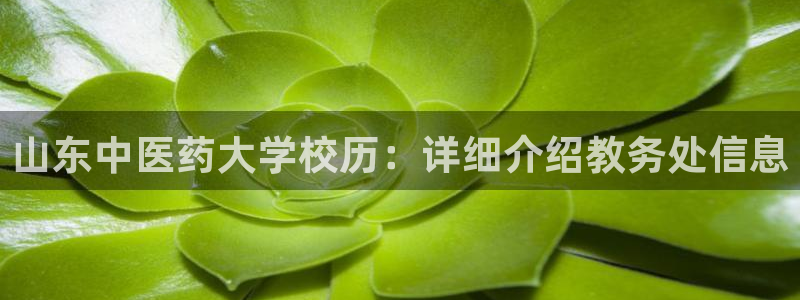 九游会官网ag旧版