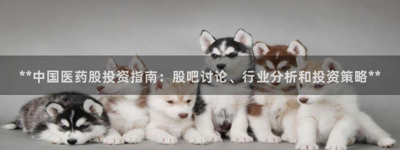 九游会ag官方平台