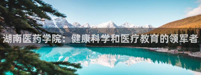 9游会app下载