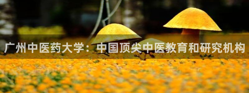 J9九游会旧版