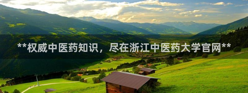 九游j9会