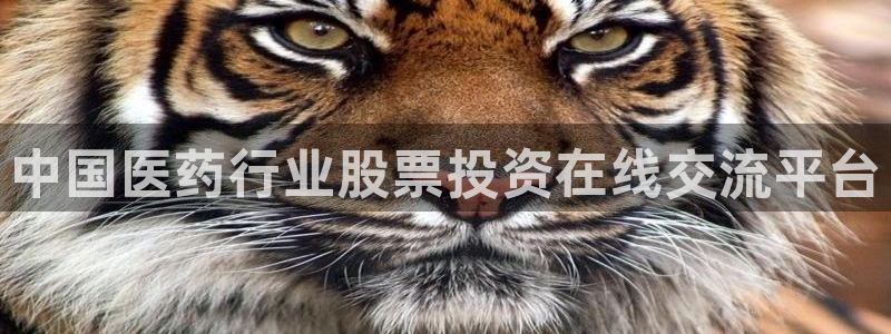 j9九游会官方网站国际怎么样