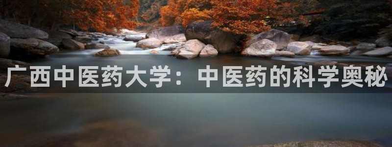 九游会官网站