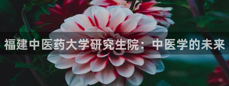 九游会平台最强