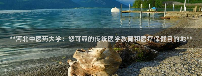 九游会 app下载